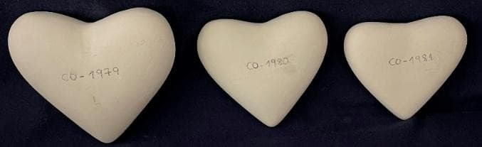 5.5 cm · 5 cm